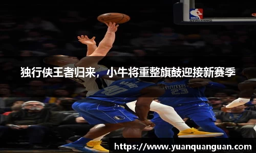 独行侠王者归来，小牛将重整旗鼓迎接新赛季