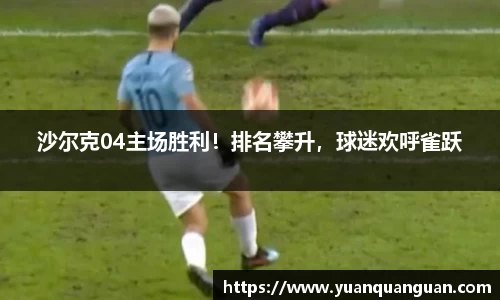 沙尔克04主场胜利！排名攀升，球迷欢呼雀跃