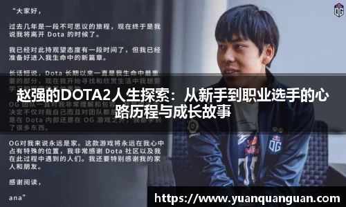 赵强的DOTA2人生探索：从新手到职业选手的心路历程与成长故事