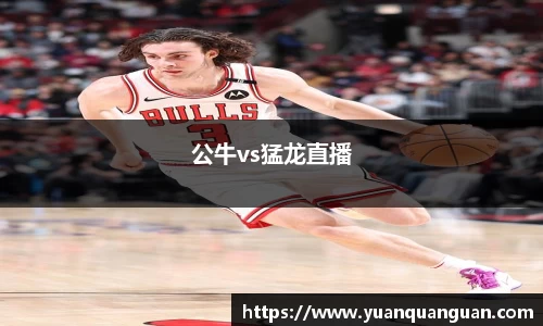 公牛vs猛龙直播