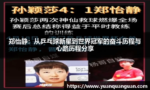 郑怡静：从乒乓球新星到世界冠军的奋斗历程与心路历程分享